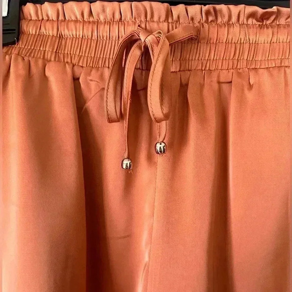 Satin Shorts - Picture 2 of 4